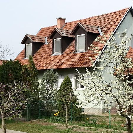 Villa Gyula-Tanya Vendeghaz Csongrád Exterior foto