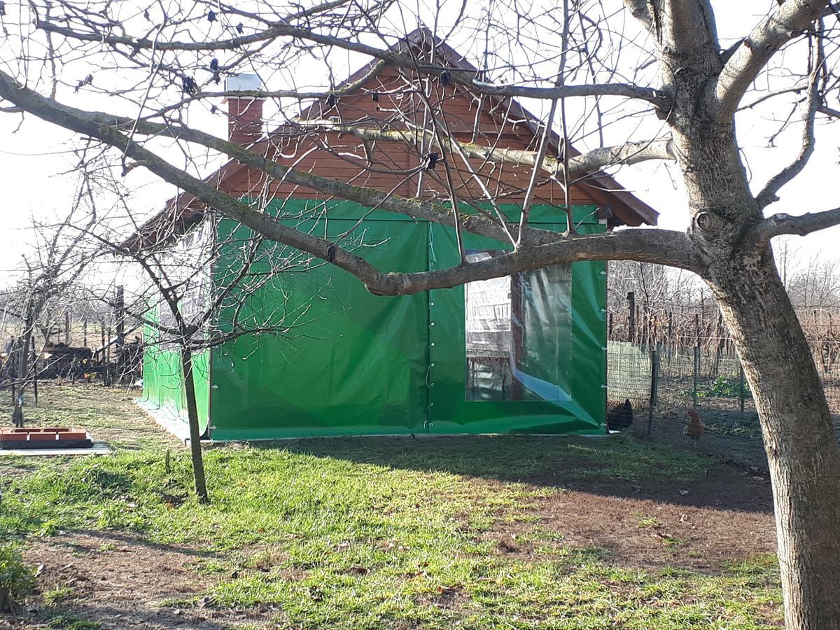Villa Gyula-Tanya Vendeghaz Csongrád Exterior foto